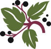 Blackberry Creek Artists